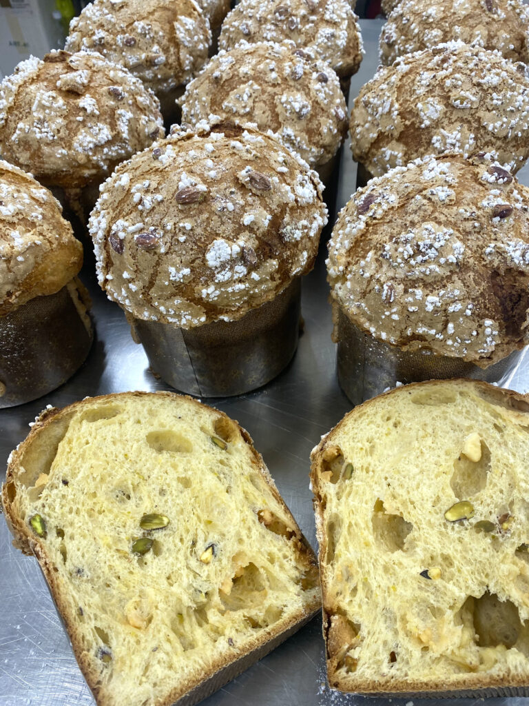 Panettone